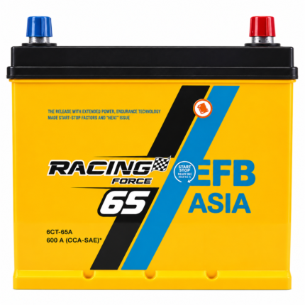 Аккумулятор RACING FORCE 6 CT-65-R EFB R+ 600A